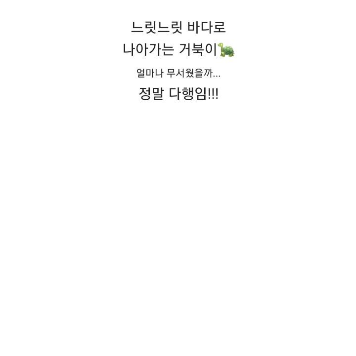 바위-틈에-빠진-바다-거북이를-구하는-커플-28-이미지