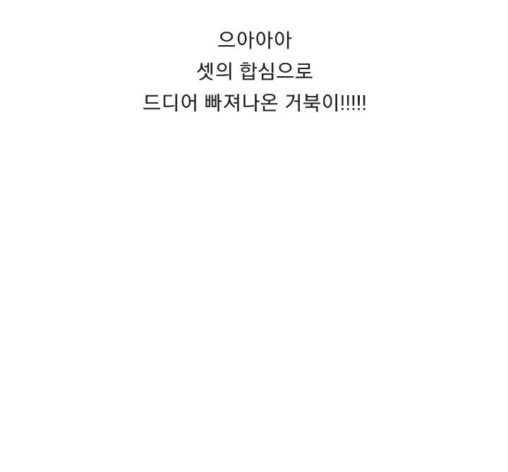 바위-틈에-빠진-바다-거북이를-구하는-커플-22-이미지