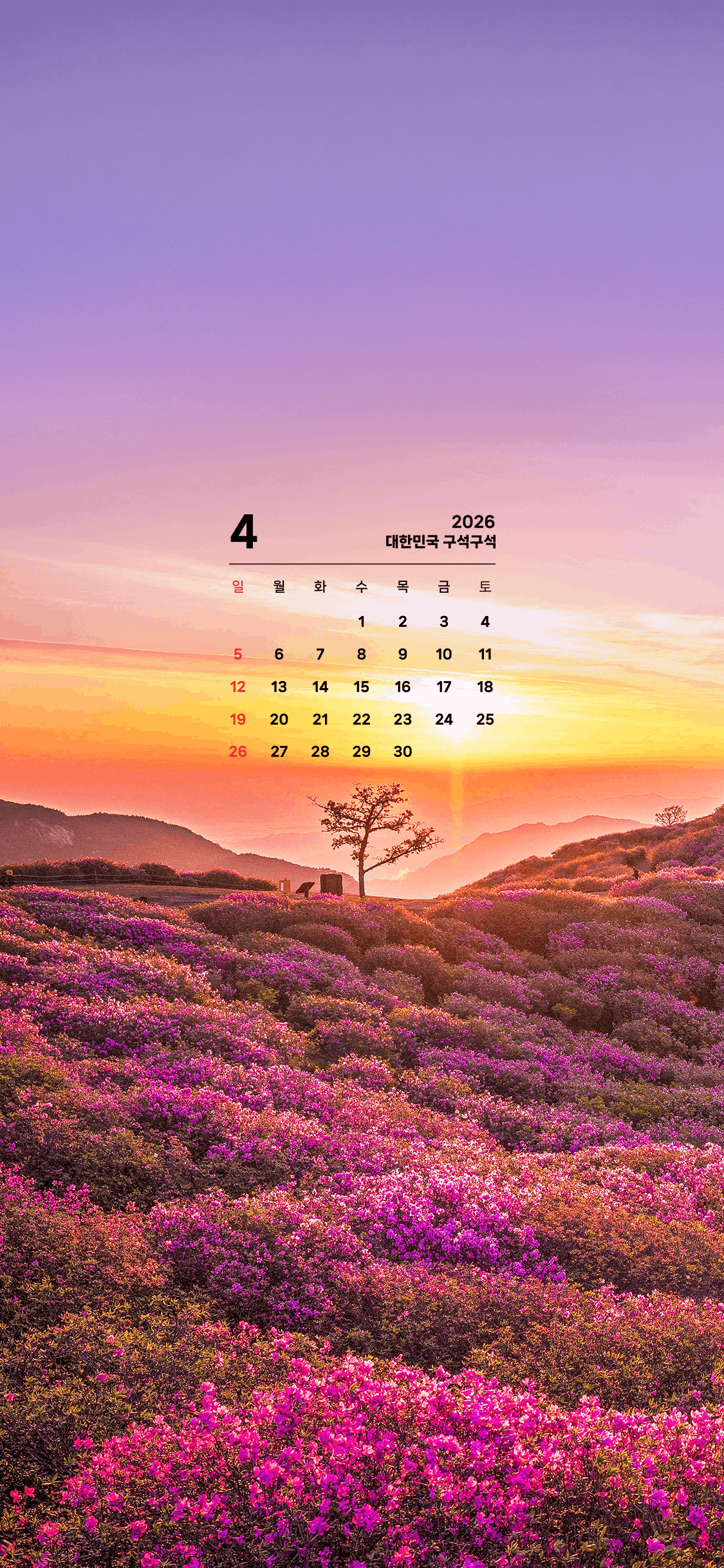 한국관광공사-2026년-4월-아이폰-배경화면-(1125x2436).jpg-2-이미지