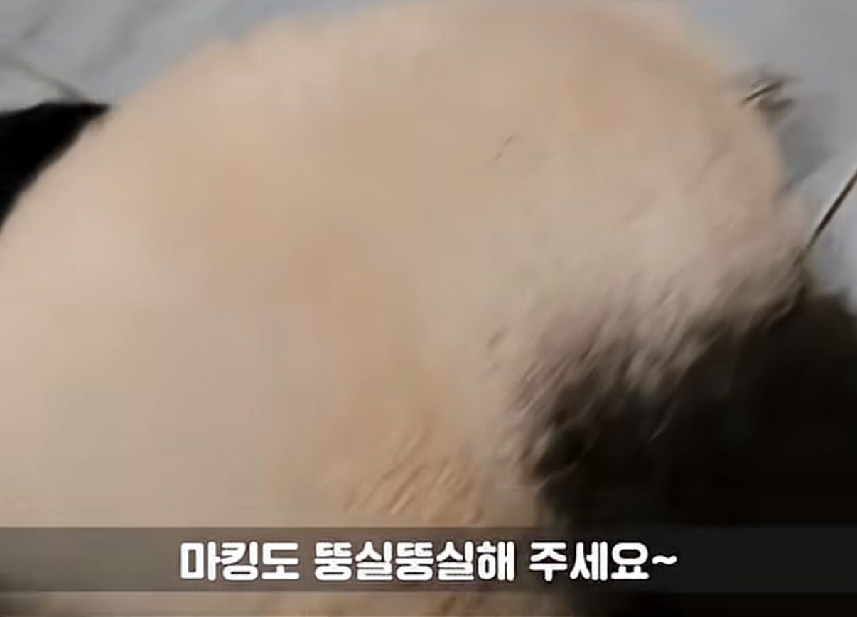 소원을-들어주는-판다-후이바오-7-이미지