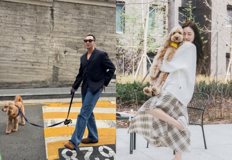 변요한·티파니,-반려견과-산책-중…꿀-떨어지는-신혼-생활-0-이미지