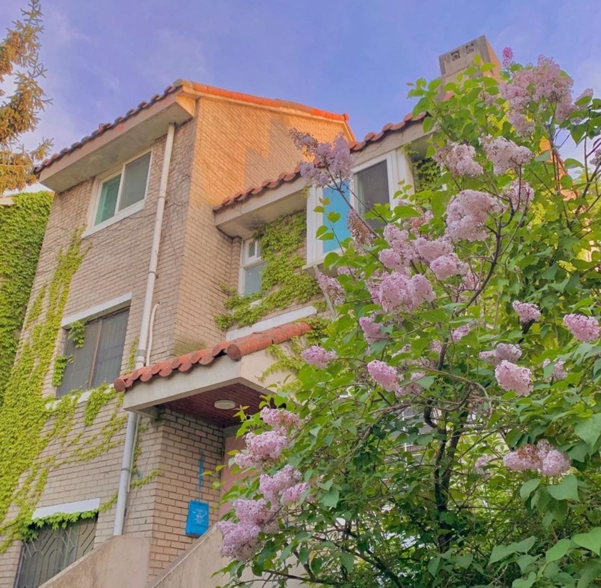 층수-낮은-주공아파트.JPG-1-이미지