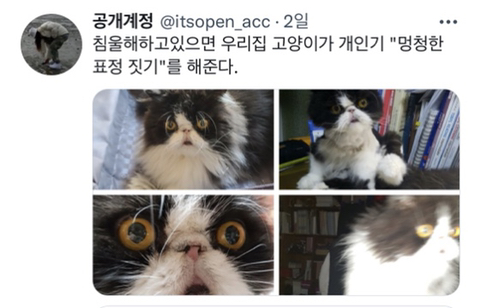 내가-침울해-하고-있으면--가--해준다-.twt-24-이미지