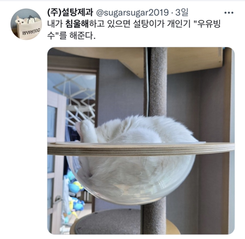 내가-침울해-하고-있으면--가--해준다-.twt-8-이미지