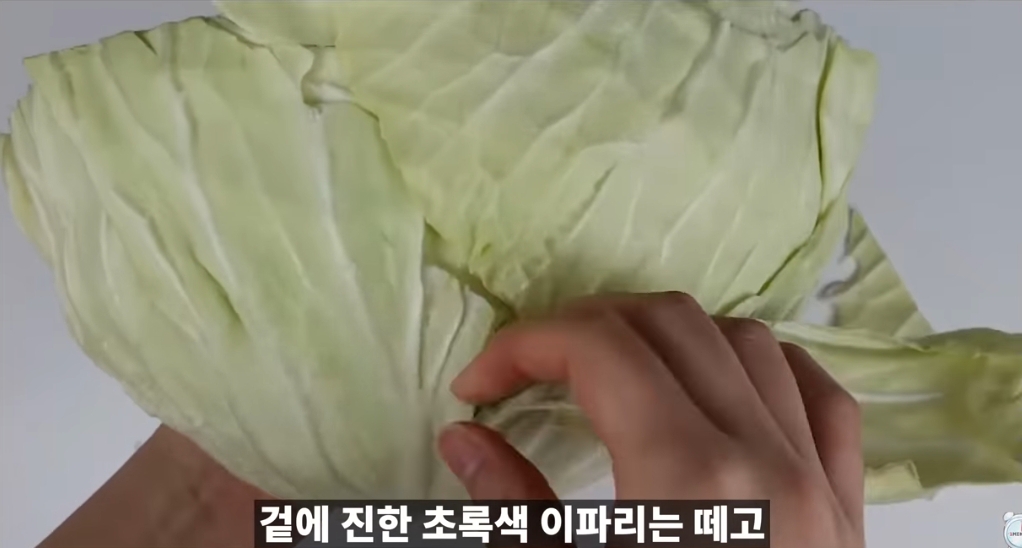 양배추-1나장-1나장씩-열심히-세척하던-분들-보세요.jpg-9-이미지