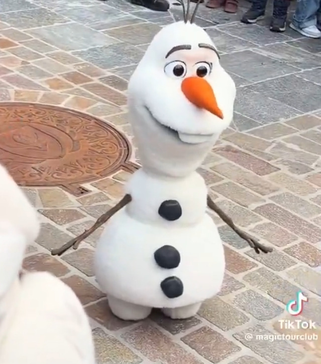 오류-나서-사람들에게-실려나가는-디즈니랜드-올라프-로봇-0-이미지