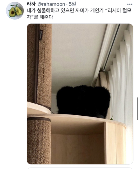 내가-침울해-하고-있으면--가--해준다-.twt-7-이미지