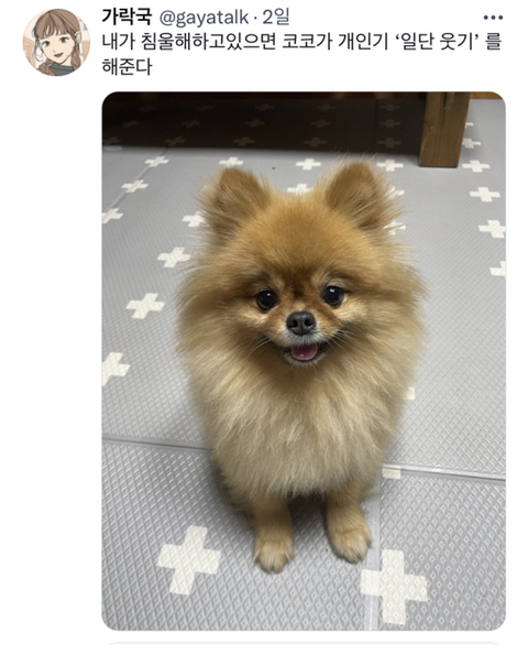 내가-침울해-하고-있으면--가--해준다-.twt-18-이미지