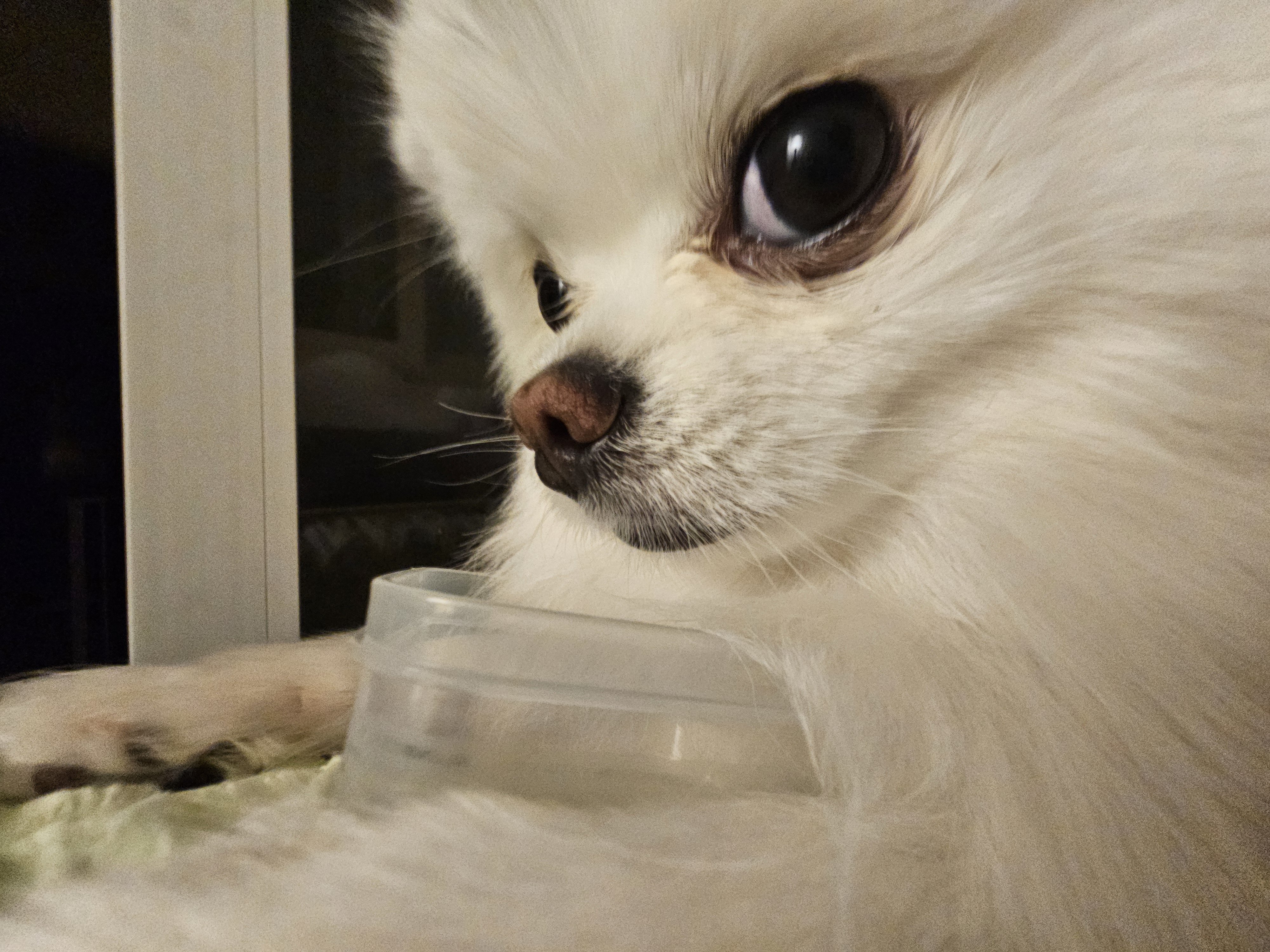 빈-통-들고-왓길래-왜-가져온-거임-햇는데-냅다-코박음-2-이미지