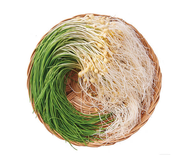 옛날엔-극혐이였는데-나이드니-없어서-못먹는-삼대장-0-이미지