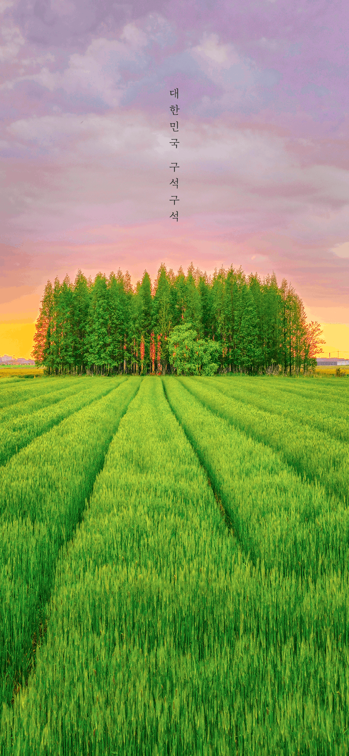 한국관광공사-2026년-4월-아이폰-배경화면-(1125x2436).jpg-9-이미지