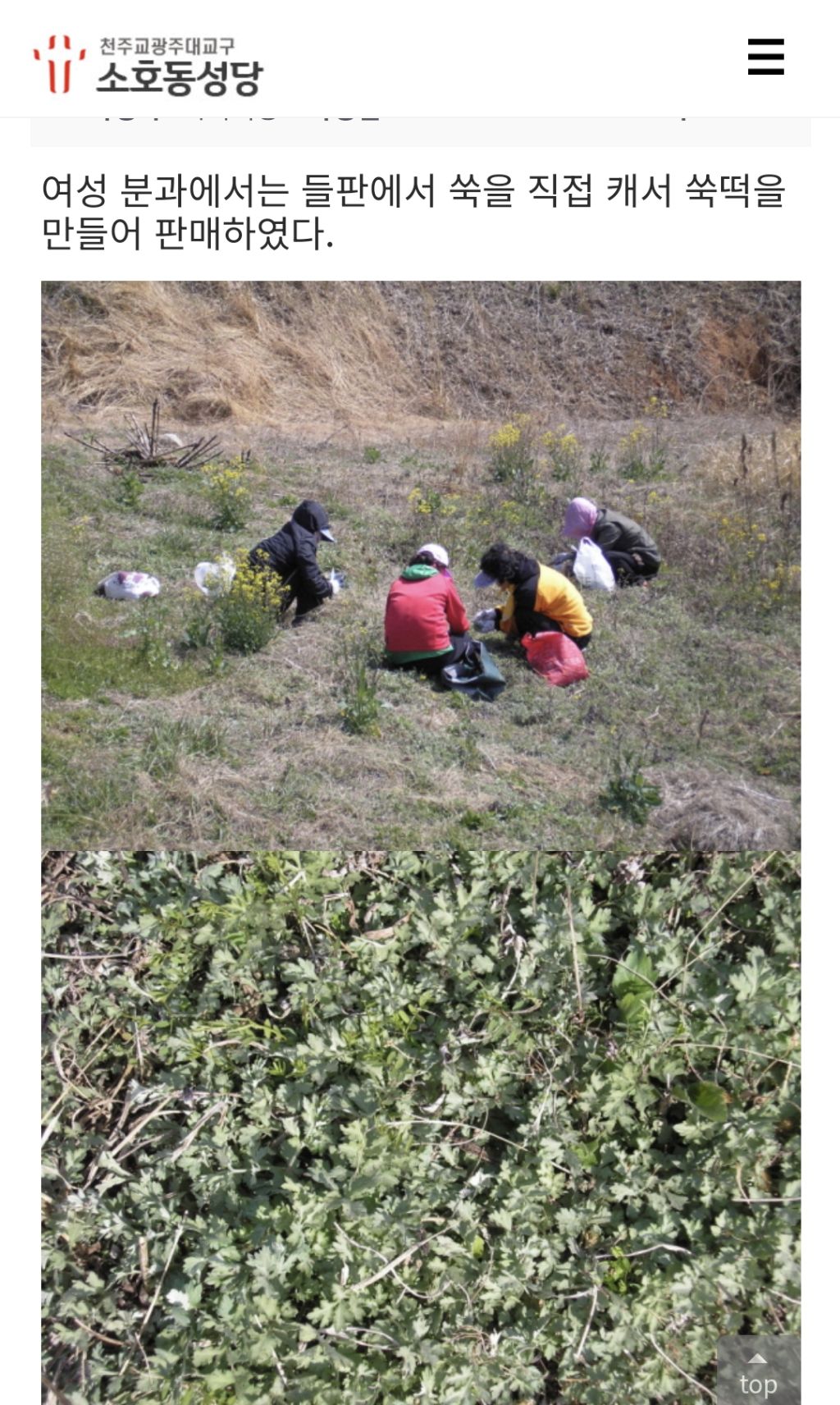 성당-지을-돈-없어서-주말마다-칡-캐서-총-35t을-캤대ㅜㅜㅜㅋㅋㅋ-0-이미지