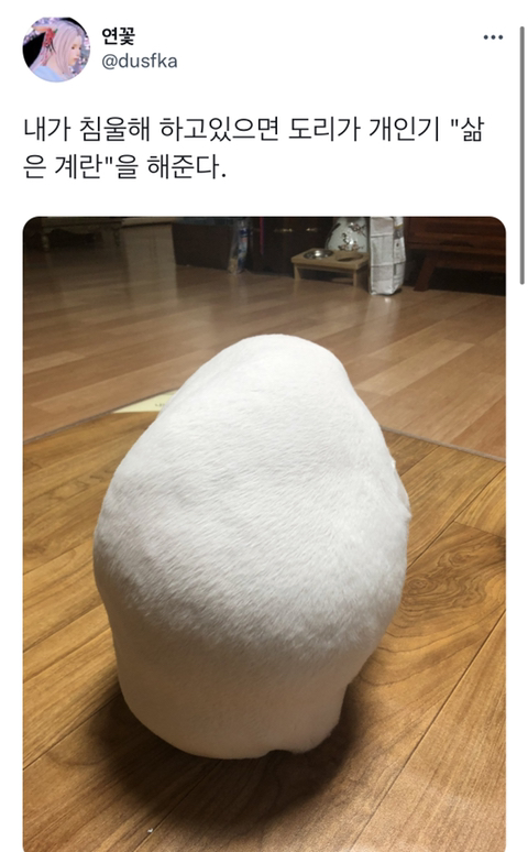 내가-침울해-하고-있으면--가--해준다-.twt-1-이미지