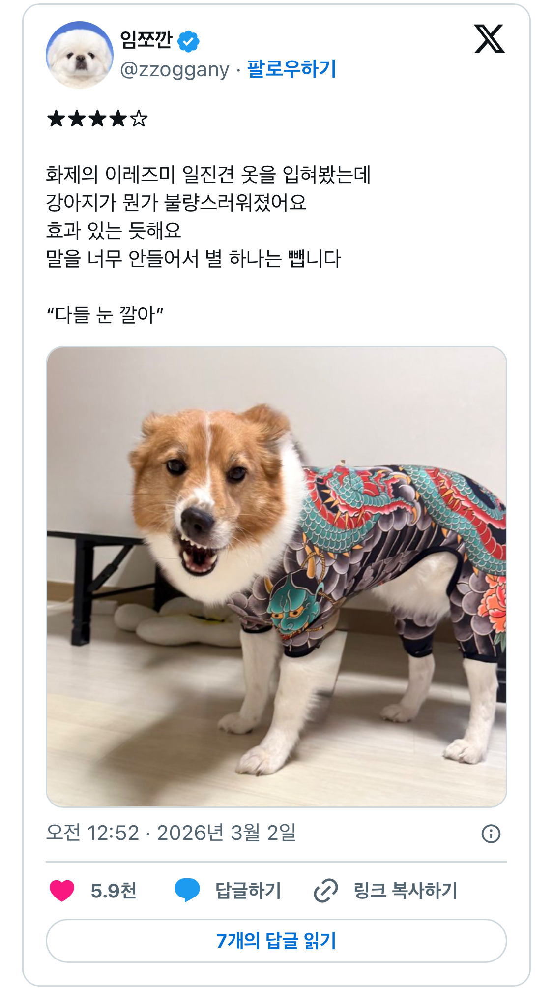 옷-입고-태도가-바뀐-개-0-이미지