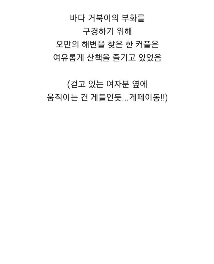 바위-틈에-빠진-바다-거북이를-구하는-커플-2-이미지