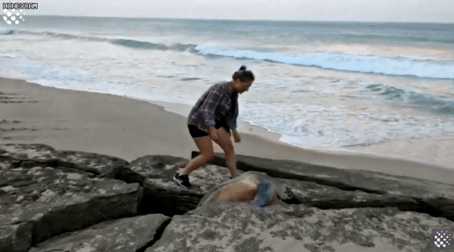 바위-틈에-빠진-바다-거북이를-구하는-커플-3-이미지