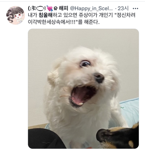 내가-침울해-하고-있으면--가--해준다-.twt-19-이미지