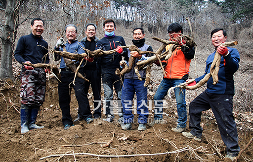 성당-지을-돈-없어서-주말마다-칡-캐서-총-35t을-캤대ㅜㅜㅜㅋㅋㅋ-3-이미지