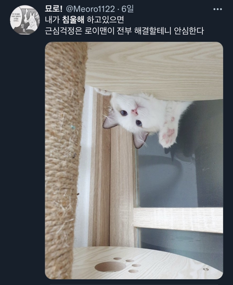 내가-침울해-하고-있으면--가--해준다-.twt-26-이미지