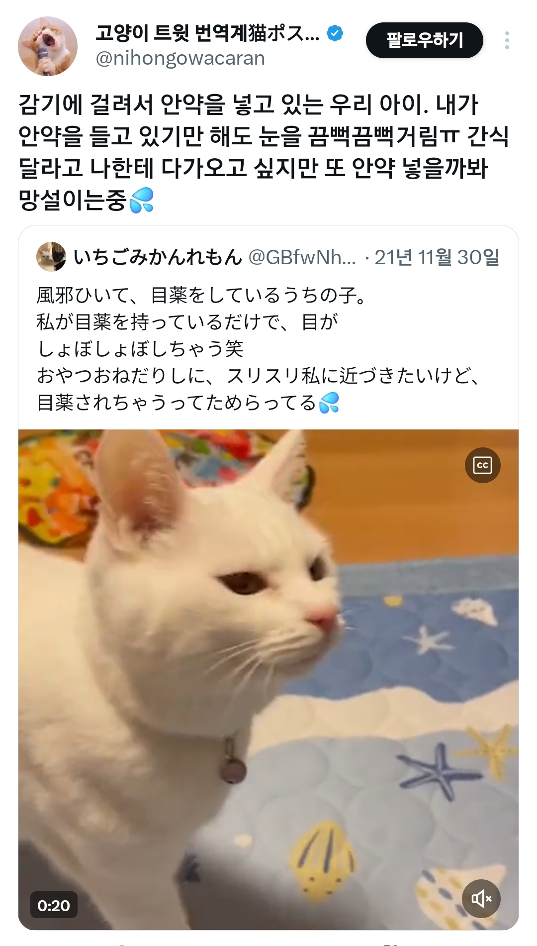 내가-안약을-들고-있기만-해도-눈을-끔뻑끔뻑거림.x-0-이미지