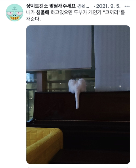 내가-침울해-하고-있으면--가--해준다-.twt-2-이미지