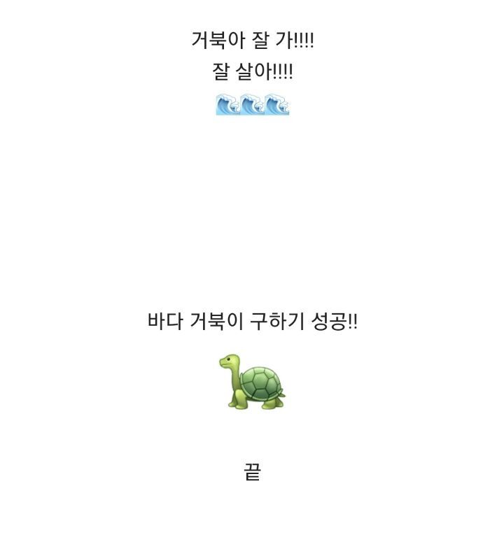 바위-틈에-빠진-바다-거북이를-구하는-커플-32-이미지