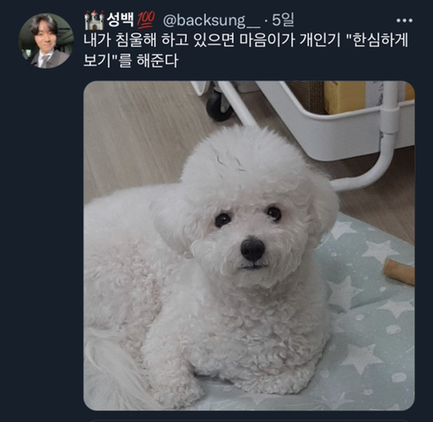 내가-침울해-하고-있으면--가--해준다-.twt-27-이미지