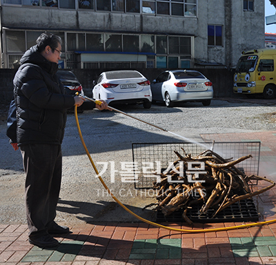 성당-지을-돈-없어서-주말마다-칡-캐서-총-35t을-캤대ㅜㅜㅜㅋㅋㅋ-5-이미지