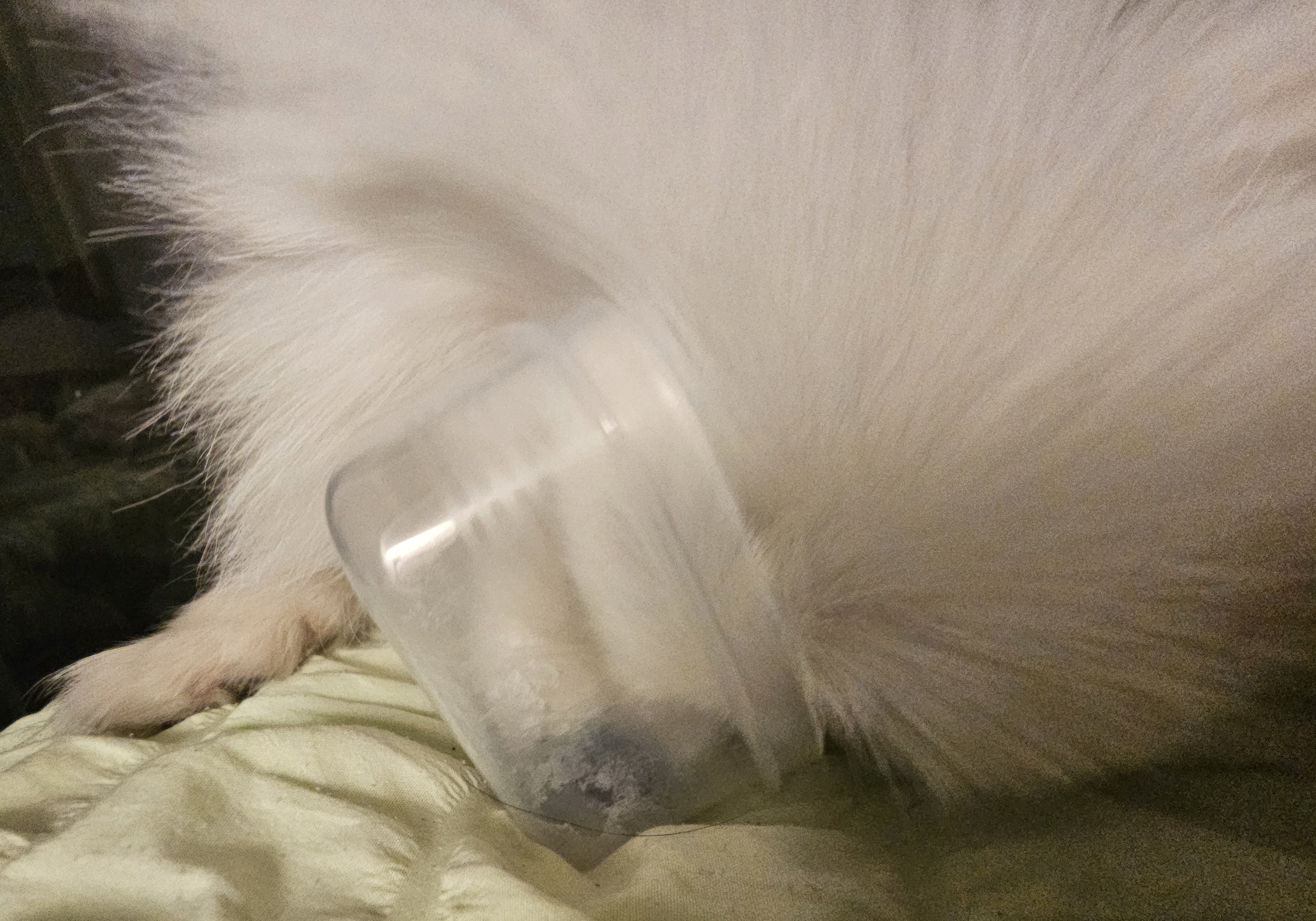 빈-통-들고-왓길래-왜-가져온-거임-햇는데-냅다-코박음-3-이미지