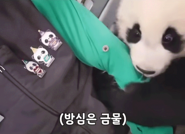 소원을-들어주는-판다-후이바오-19-이미지