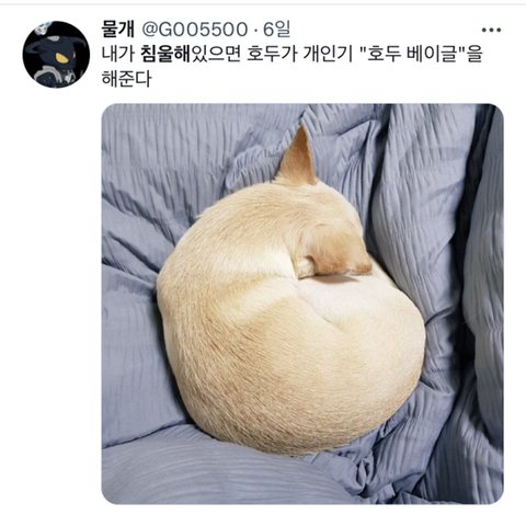 내가-침울해-하고-있으면--가--해준다-.twt-4-이미지