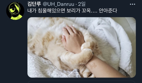 내가-침울해-하고-있으면--가--해준다-.twt-23-이미지