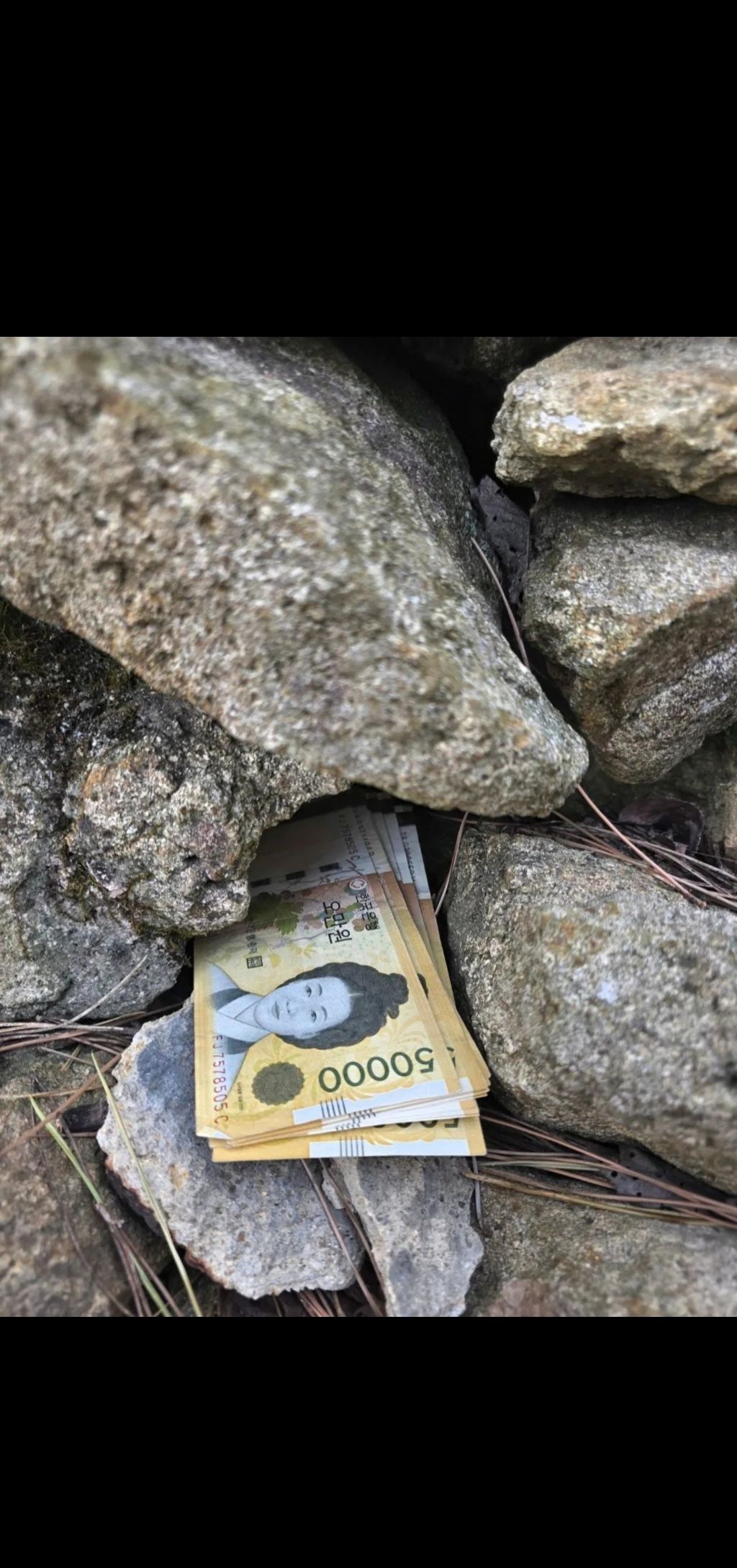 뒷산-산책하다-돈줍한-사람-2-이미지