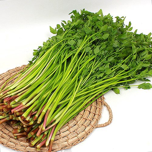 옛날엔-극혐이였는데-나이드니-없어서-못먹는-삼대장-7-이미지