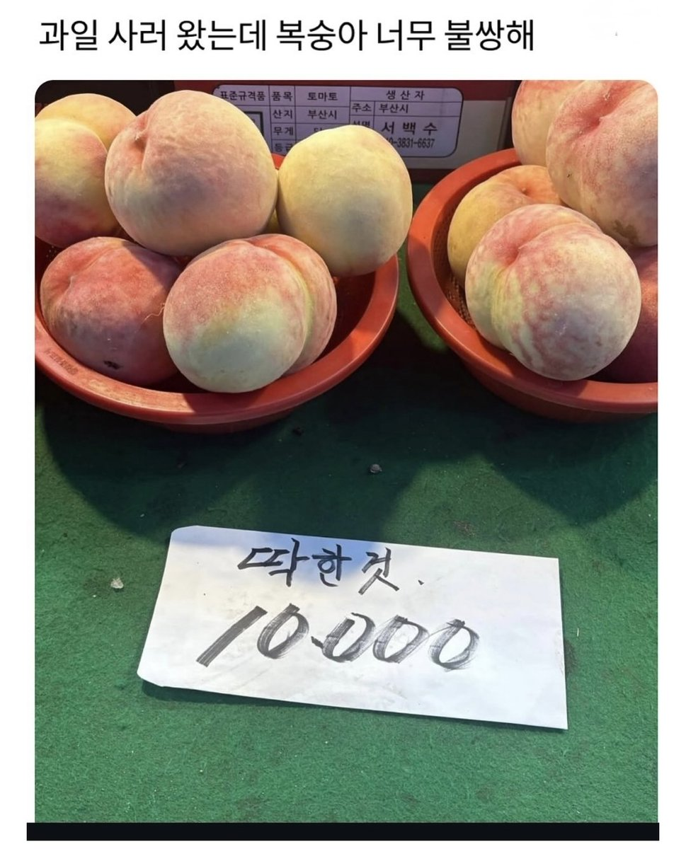 과일-사러-왔는데-복숭아-너무-불쌍해-0-이미지
