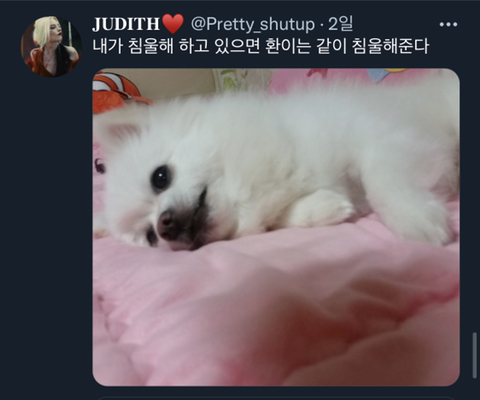 내가-침울해-하고-있으면--가--해준다-.twt-25-이미지