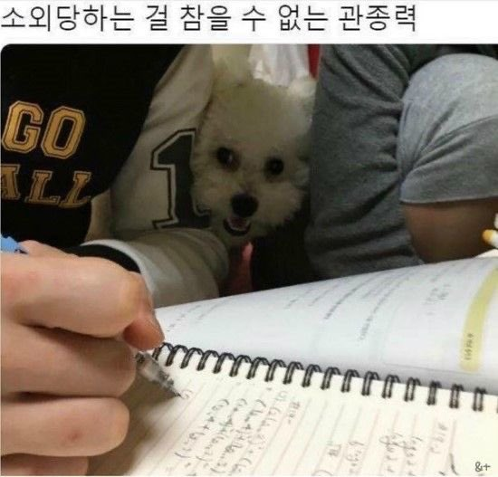 소외당하는걸-참을-수-없는-관종력-0-이미지