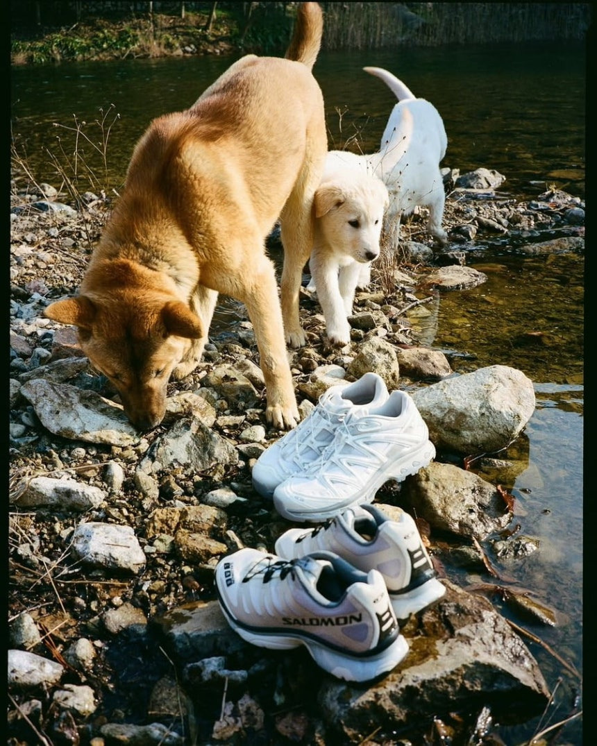 "한국적인-게-힙해"-'러닝화-맛집'-살로몬,-진돗개-입었다-1-이미지