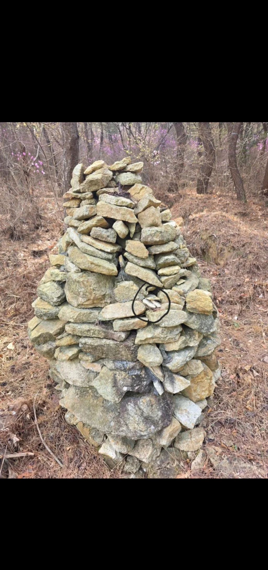 뒷산-산책하다-돈줍한-사람-1-이미지