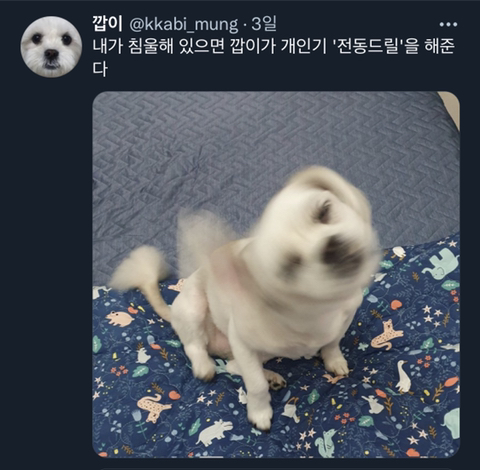 내가-침울해-하고-있으면--가--해준다-.twt-14-이미지