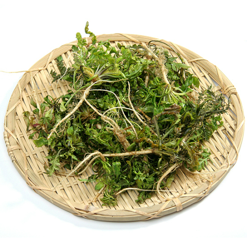 옛날엔-극혐이였는데-나이드니-없어서-못먹는-삼대장-3-이미지