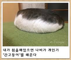 내가-침울해-하고-있으면--가--해준다-.twt-0-이미지