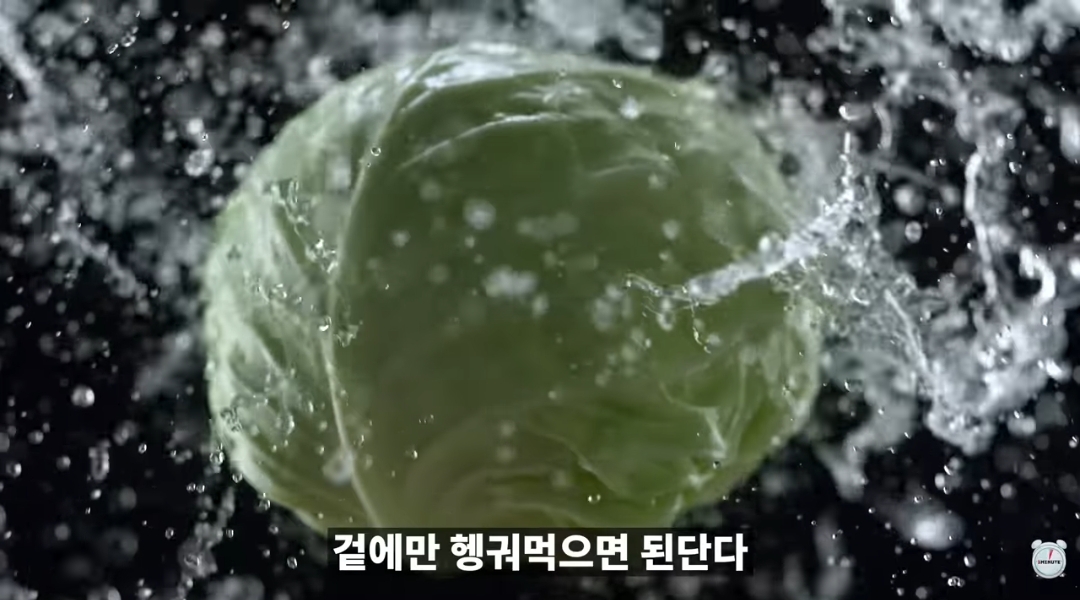 양배추-1나장-1나장씩-열심히-세척하던-분들-보세요.jpg-11-이미지