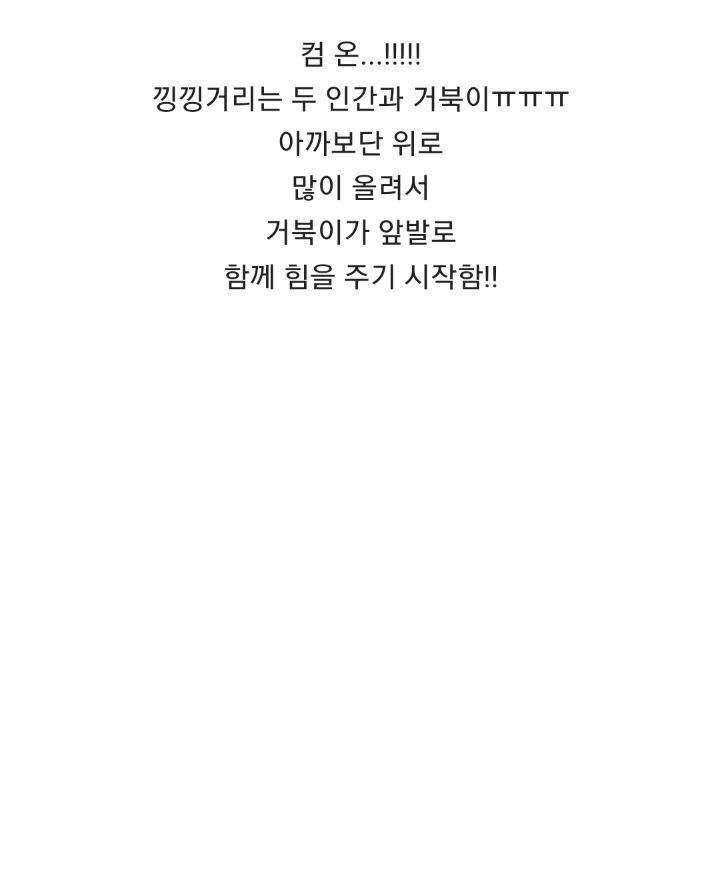 바위-틈에-빠진-바다-거북이를-구하는-커플-20-이미지