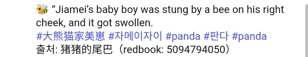 판다가-벌에-쏘이면?🐼-4-이미지
