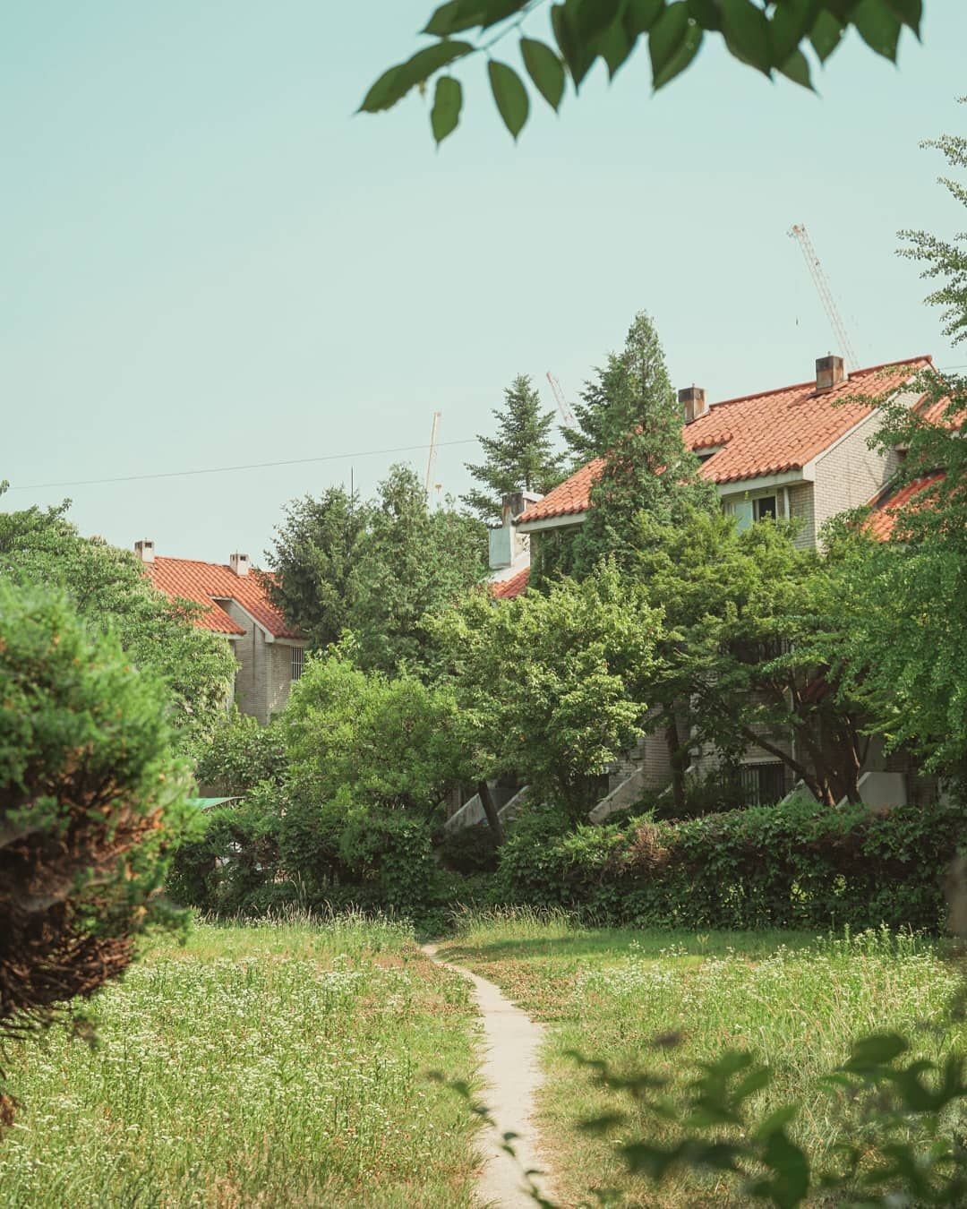 층수-낮은-주공아파트.JPG-2-이미지