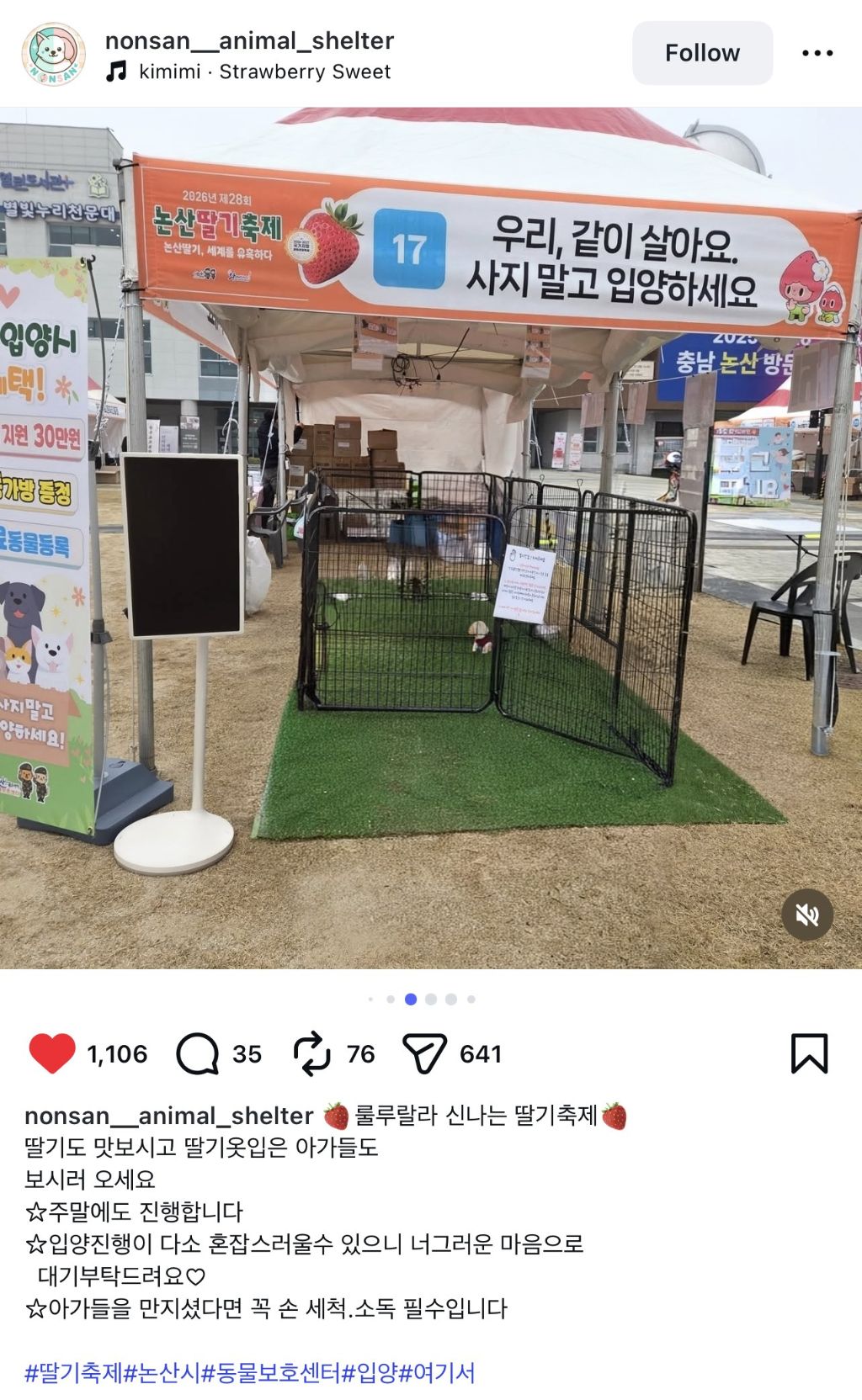 논산딸기축제-기간-4일간-유기견-53마리-새-가족-품으로-4-이미지