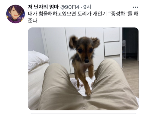 내가-침울해-하고-있으면--가--해준다-.twt-20-이미지