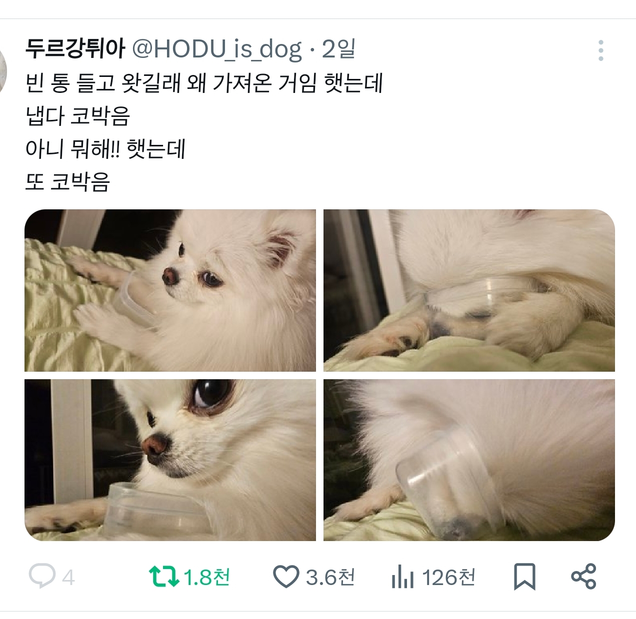 빈-통-들고-왓길래-왜-가져온-거임-햇는데-냅다-코박음-4-이미지