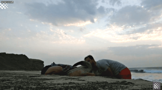 바위-틈에-빠진-바다-거북이를-구하는-커플-11-이미지